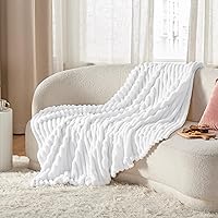 Vista 64 de Bedsure GentleSoft Twin Blanket for Couch - Cozy Soft Blankets for Women, Cute Small Fleece Throws for Girls, Light Grey, 60x80 Inches