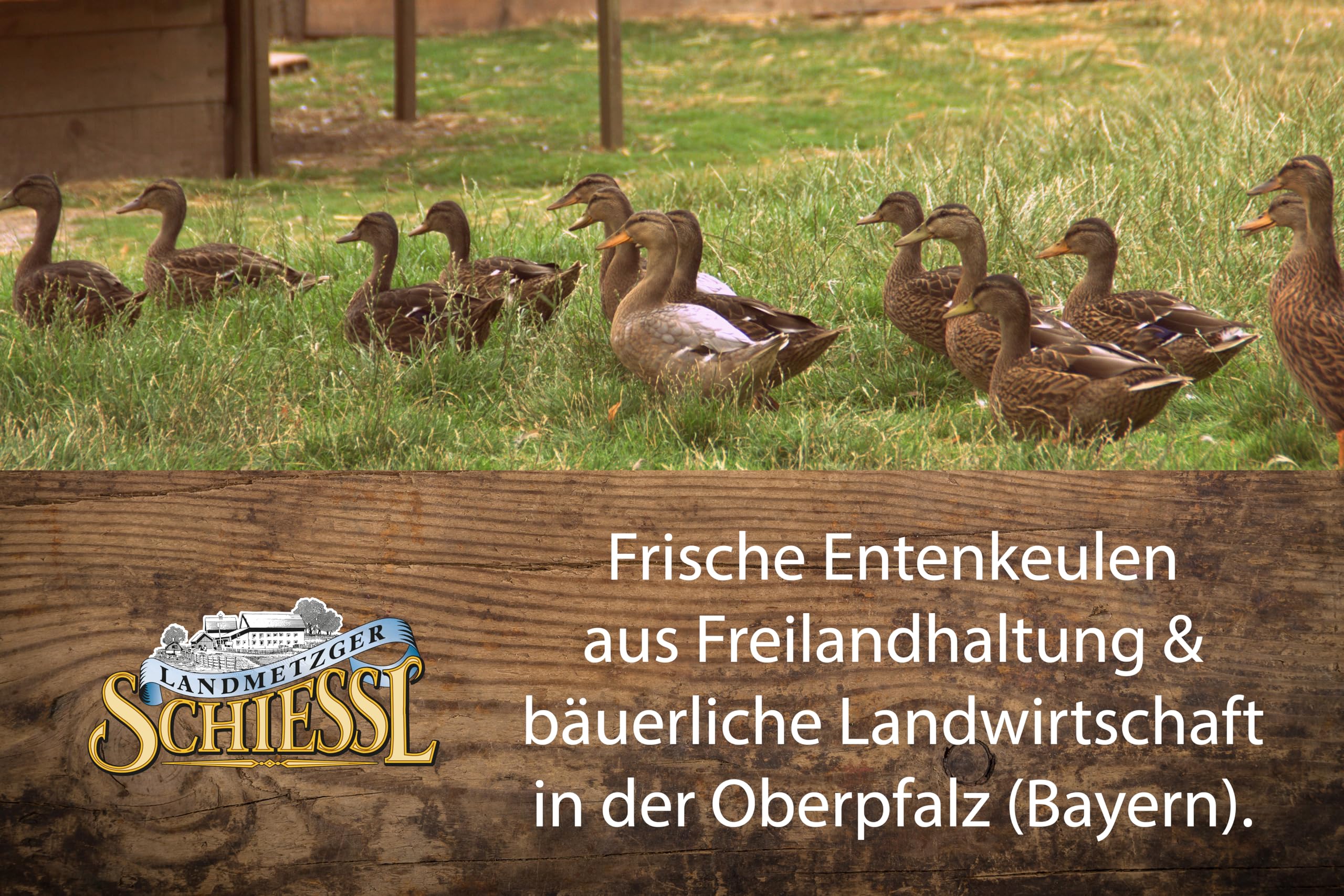 Landmetzger Schiessl's » Frische Entenkeulen « ca. 350g | Aus Freilandhaltung | Natürliches Futter aus regionalem Anbau | Küchenfertig | Schlachtfrisch
