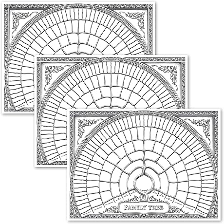 3 Pack - 18" x 24" Family Tree Book You Fill In [Version 2]