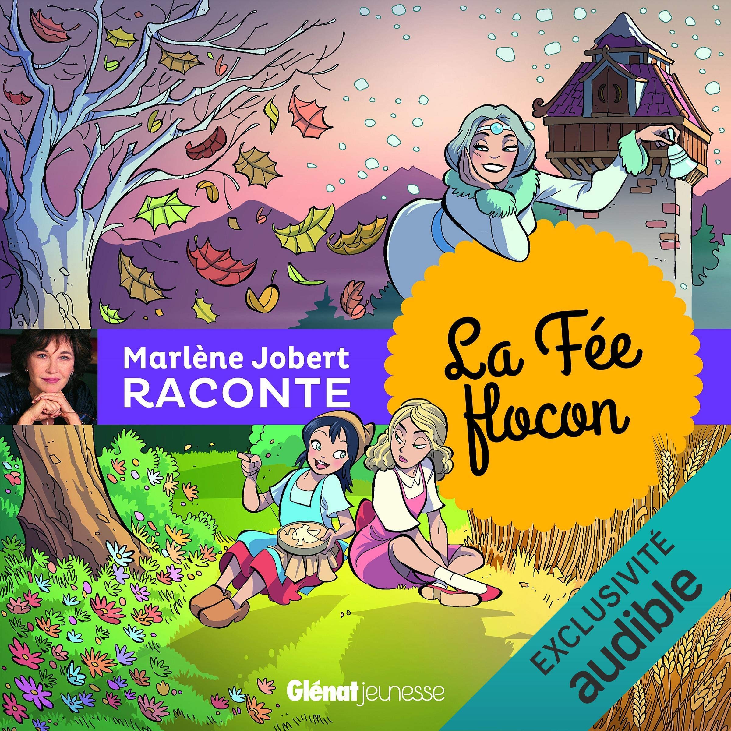 Cover art for La fée flocon