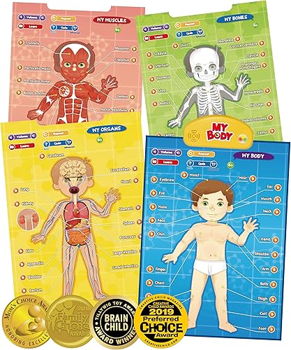BEST LEARNING i-Poster My Body - Juguete educativo interactivo para hablar de anatomía humana | Aprende partes del cuerpo, órganos, músculos y