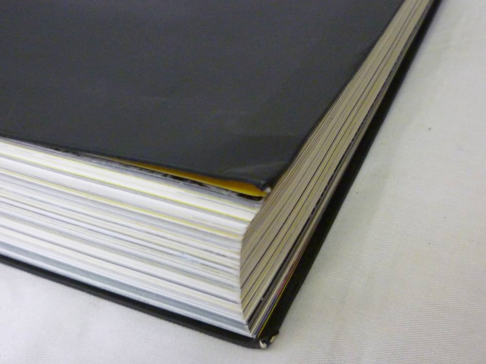 【洋書】PROJECT ON THE CITY 2 ハードカバー 914j1GIpoSL._AC_UF350,