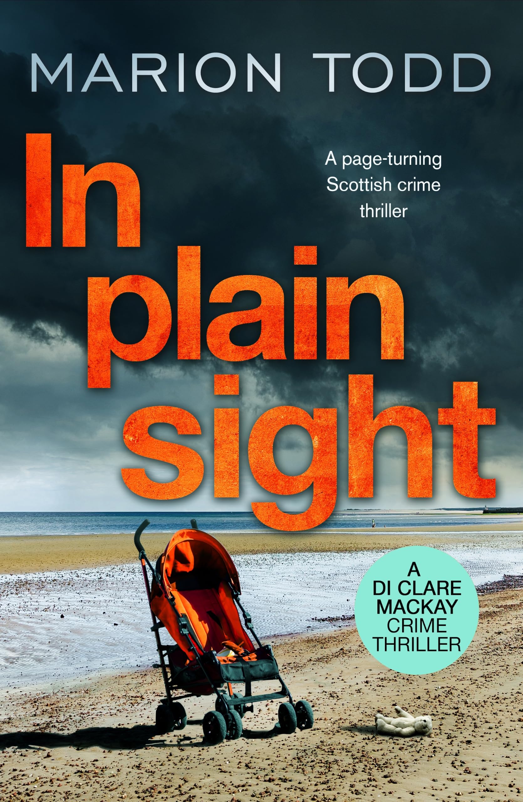 In Plain Sight: A page-turning Scottish crime thriller: 2 (Detective Clare Mackay, 2)