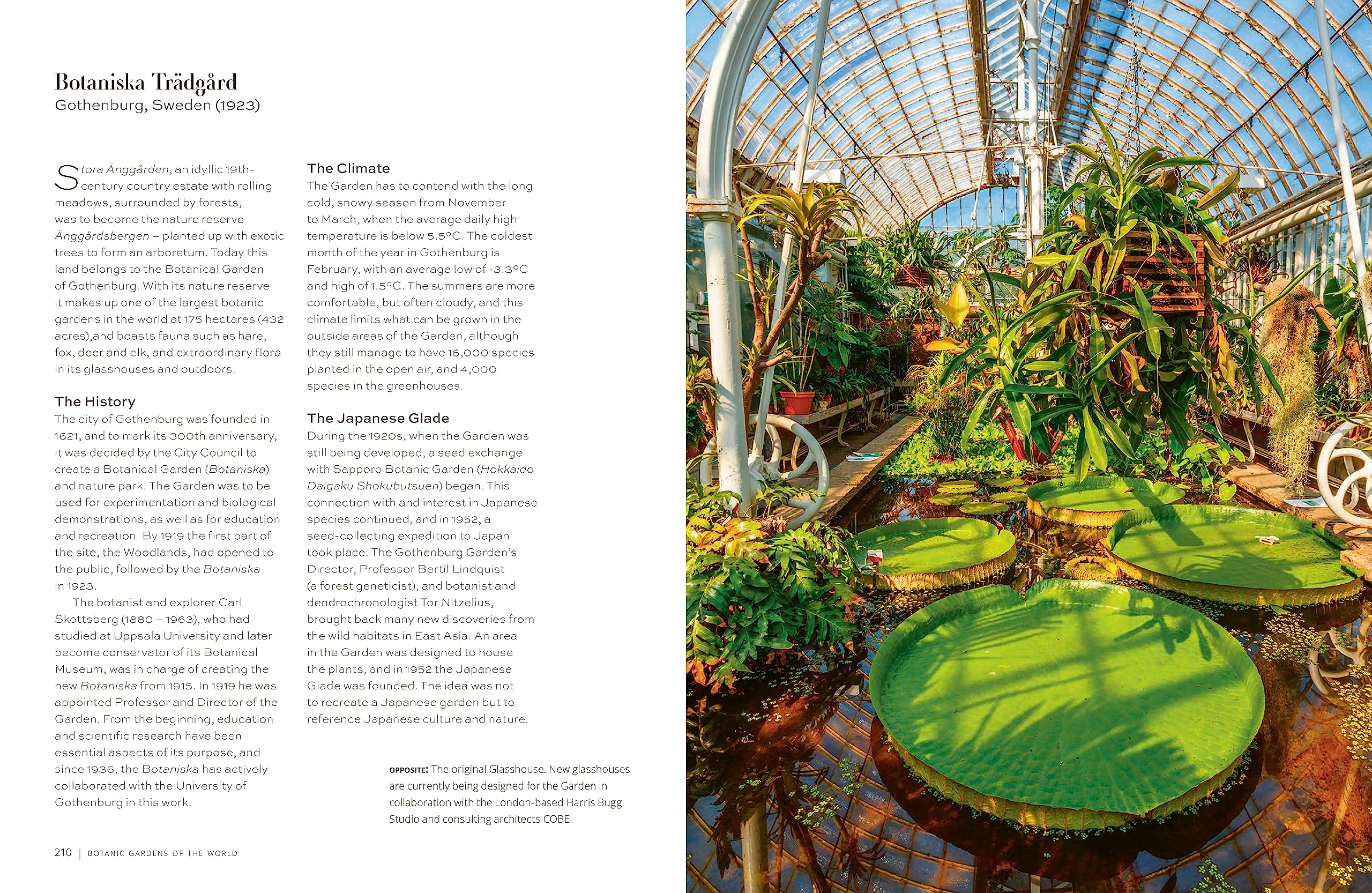 Botanic Gardens of the World: Tales of extraordinary plants, botanical history and scientific discovery