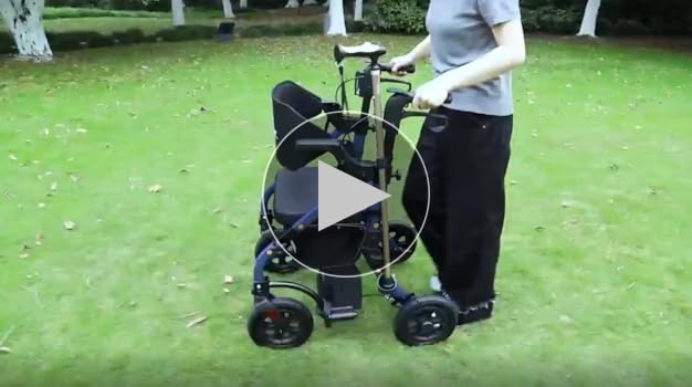 Amazon | ビグアレクス（BigAlex） 歩行器 四輪歩行車 シルバー