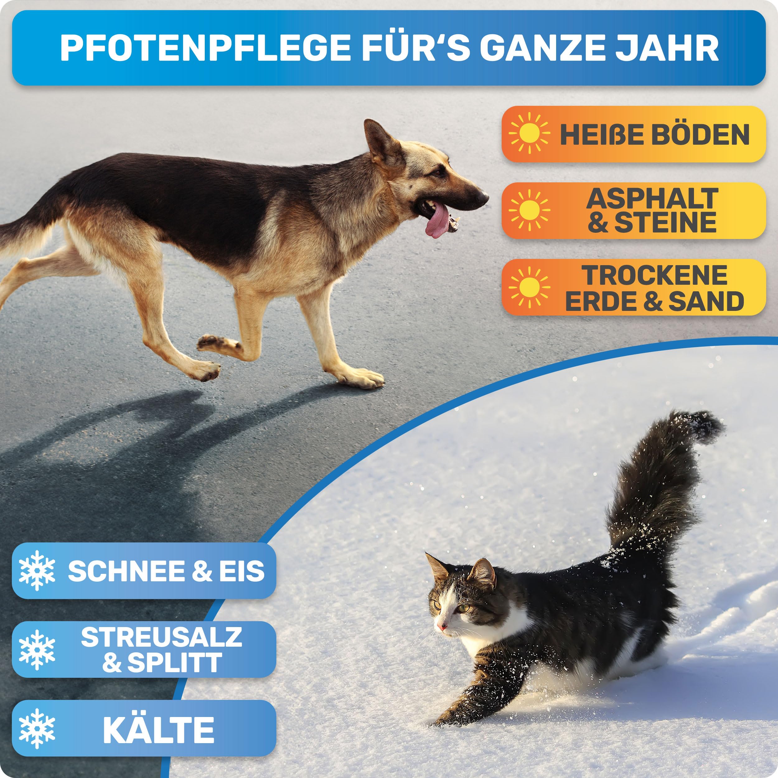 BluePet Baume Coussinet Chien, Creme Coussinet pour Pattes de Chien & Chat, Baume Pattes & Truffes Chiens, Protection Neige & Chaleur, Cicatrisante & Antiseptique, pour Pattes & Truffe sèche, gercée