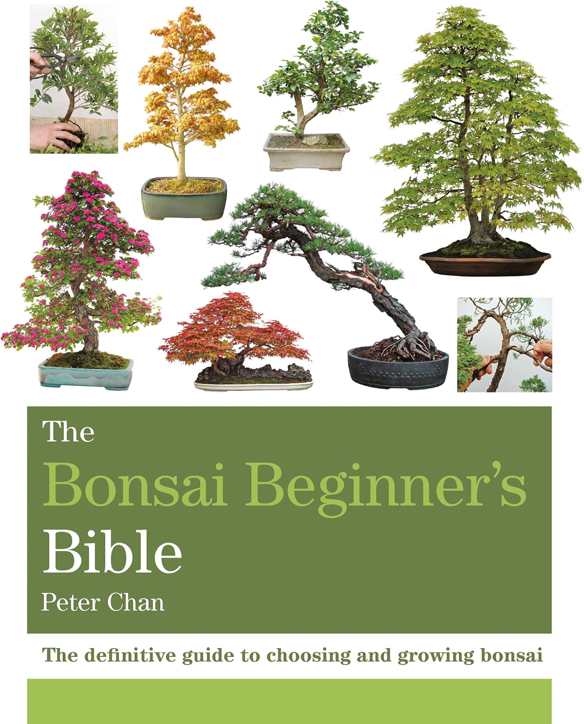 The Bonsai Bible: The definitive guide to choosing and growing bonsai Kindle Edition