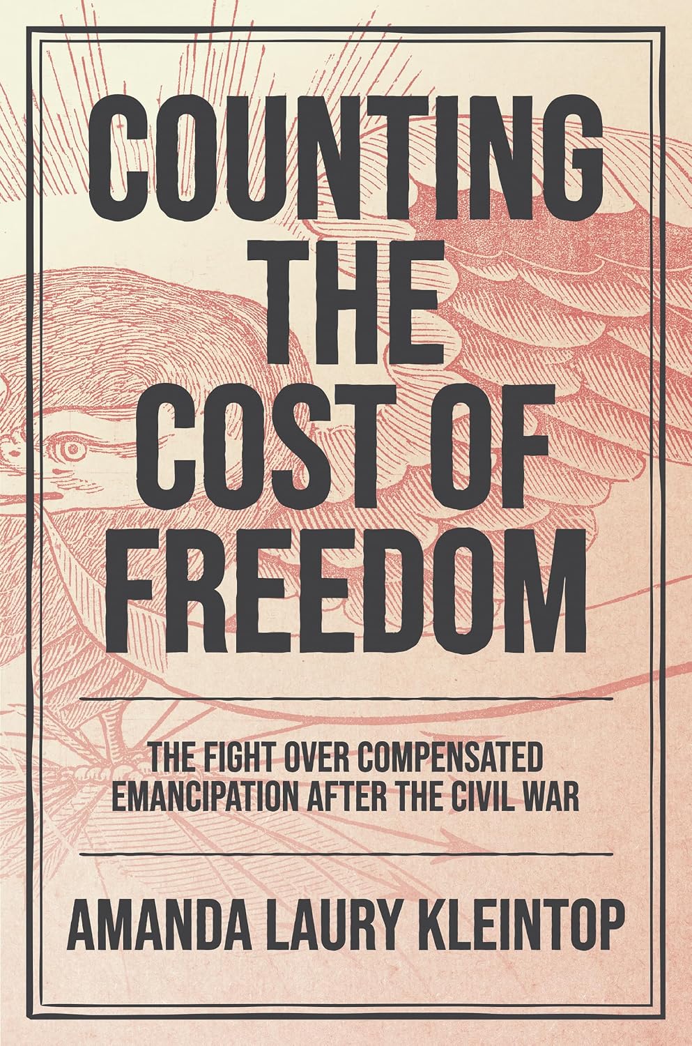 Counting the Cost of Freedom: The Fight Over Compensated Emancipation after the Civil War (Civil War America)