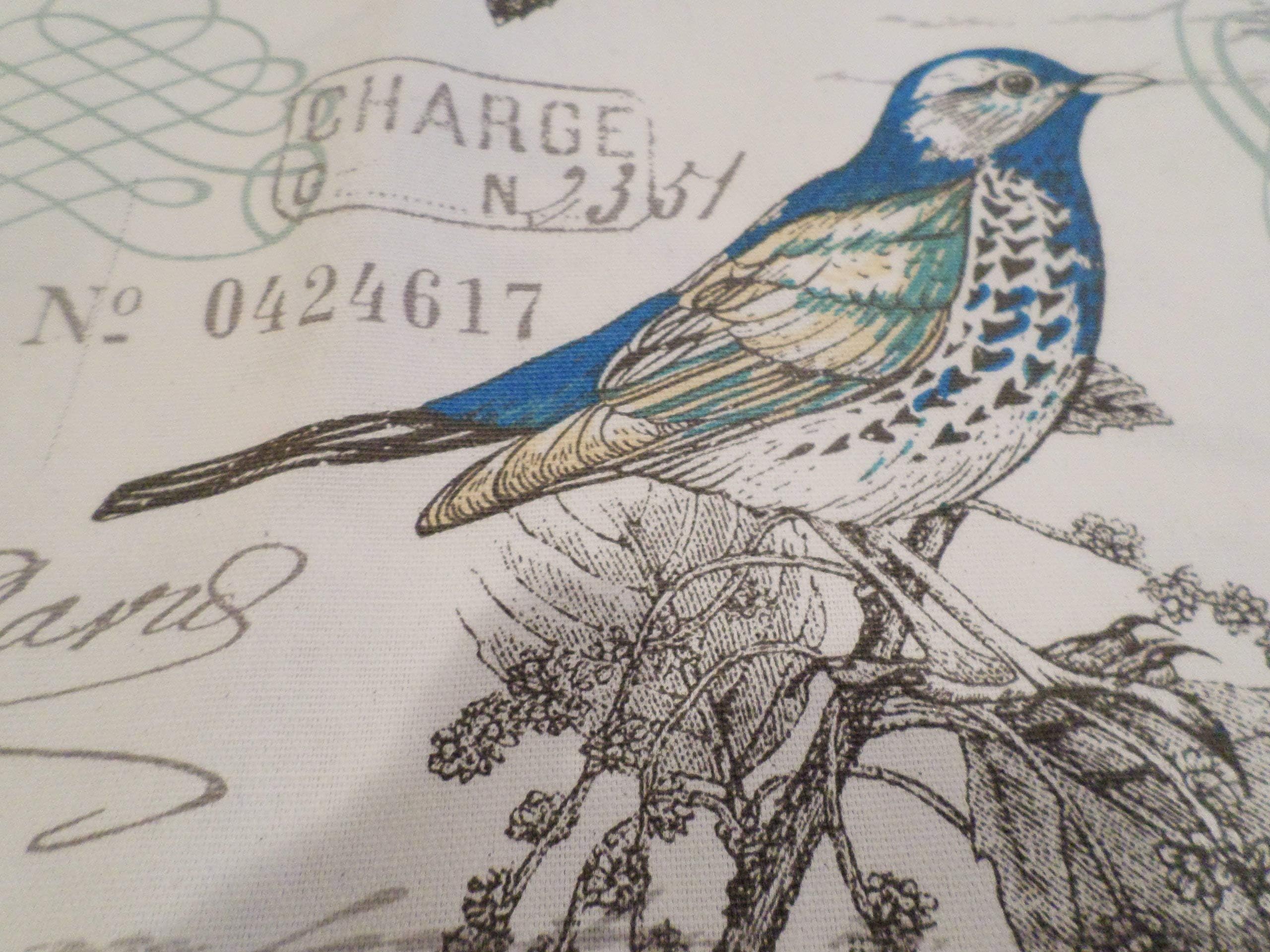 Door Draft Stopper, Draft Stopper, Door Draft Blocker, Draft Blocker,Door Snake, Draft Excluder,UNFILLED DRAFT STOPPER Cream with Pretty Birds in Blue and Teal
