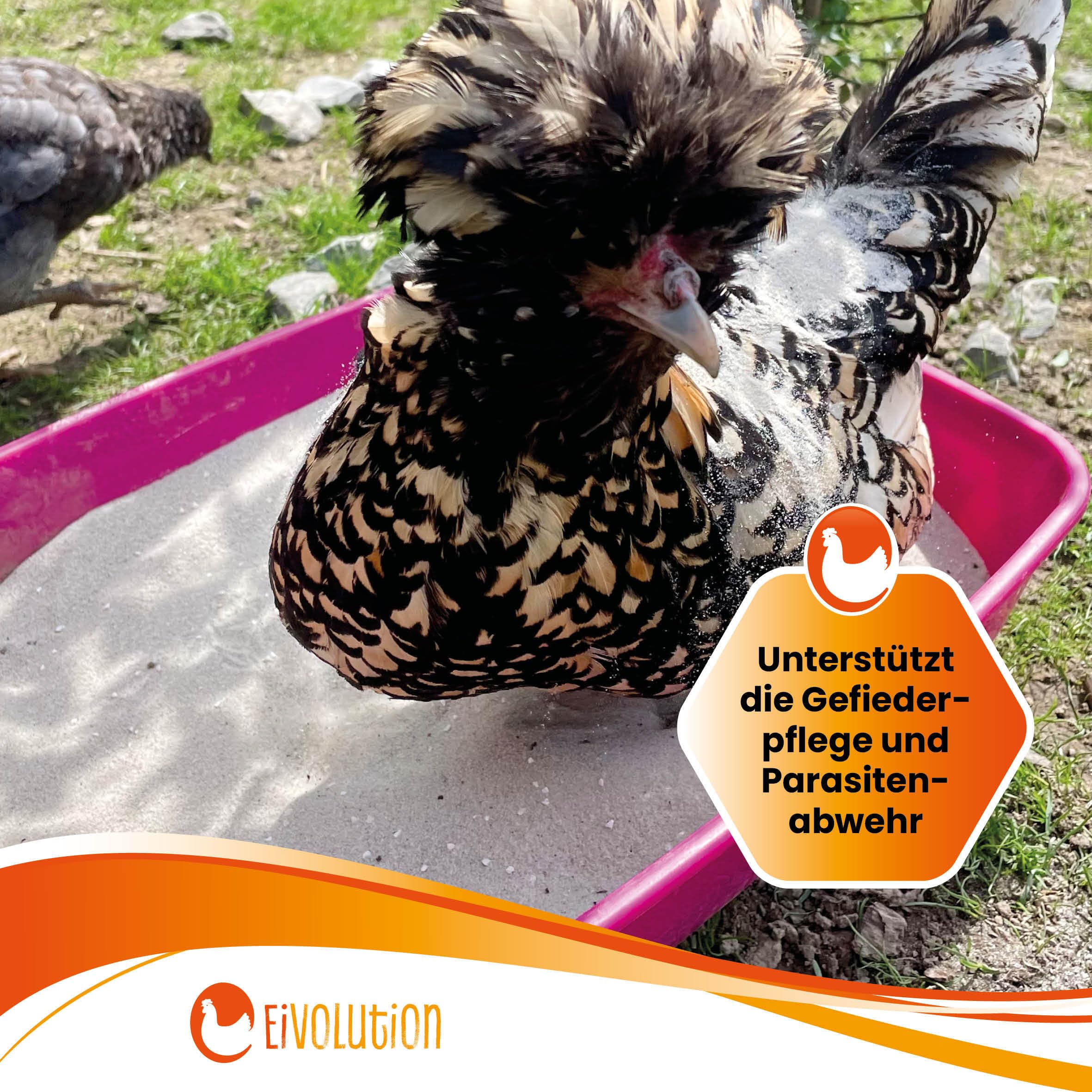 Badesand 8 kg mit Anis für Hühner und Wachteln - mit Kalkgrit - für Gefiederpflege und gegen Parasiten - für mehr Wohlbefinden