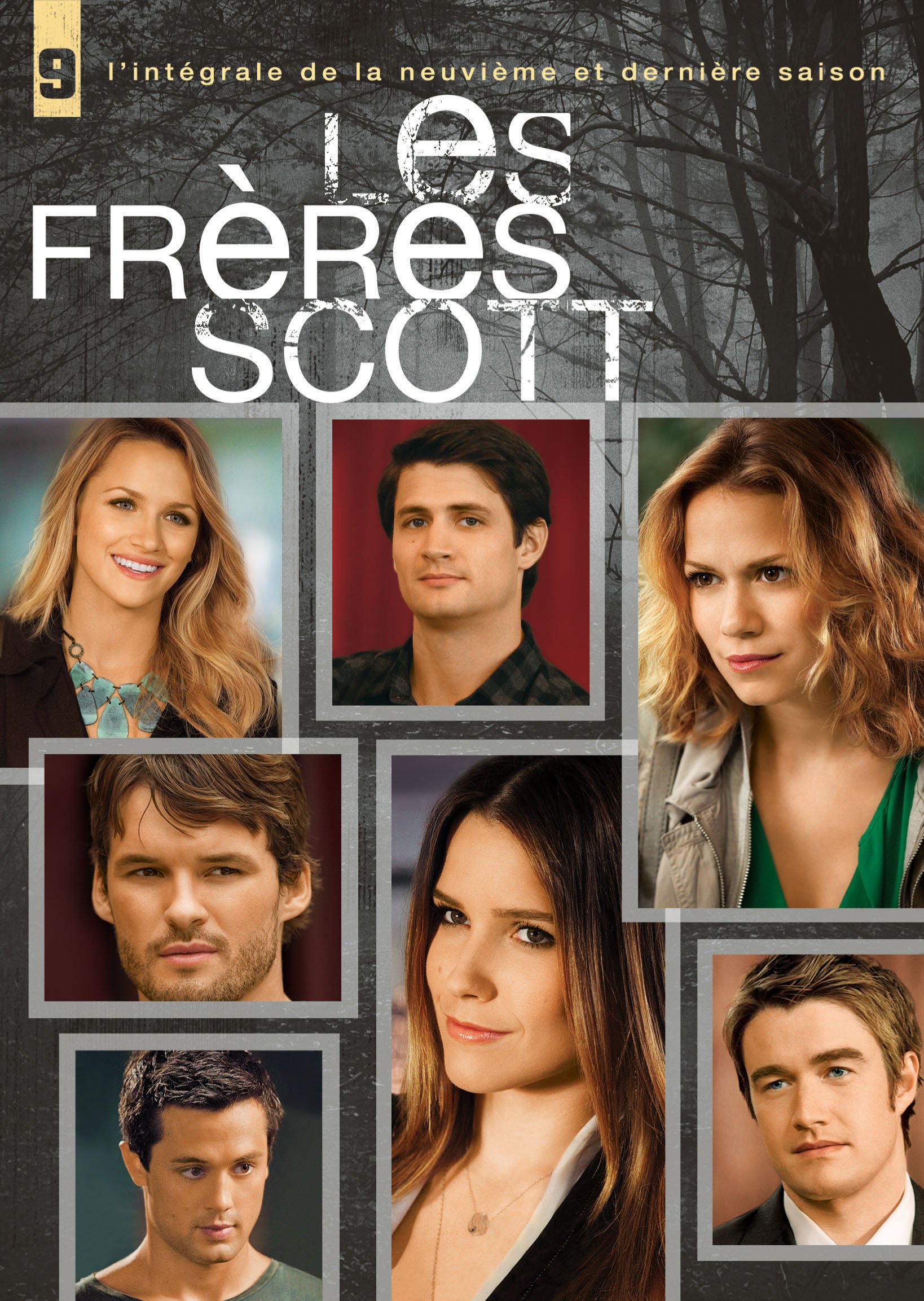One Tree Hill: The Complete Ninth Season [DVD]