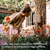 Ver la foto 2
