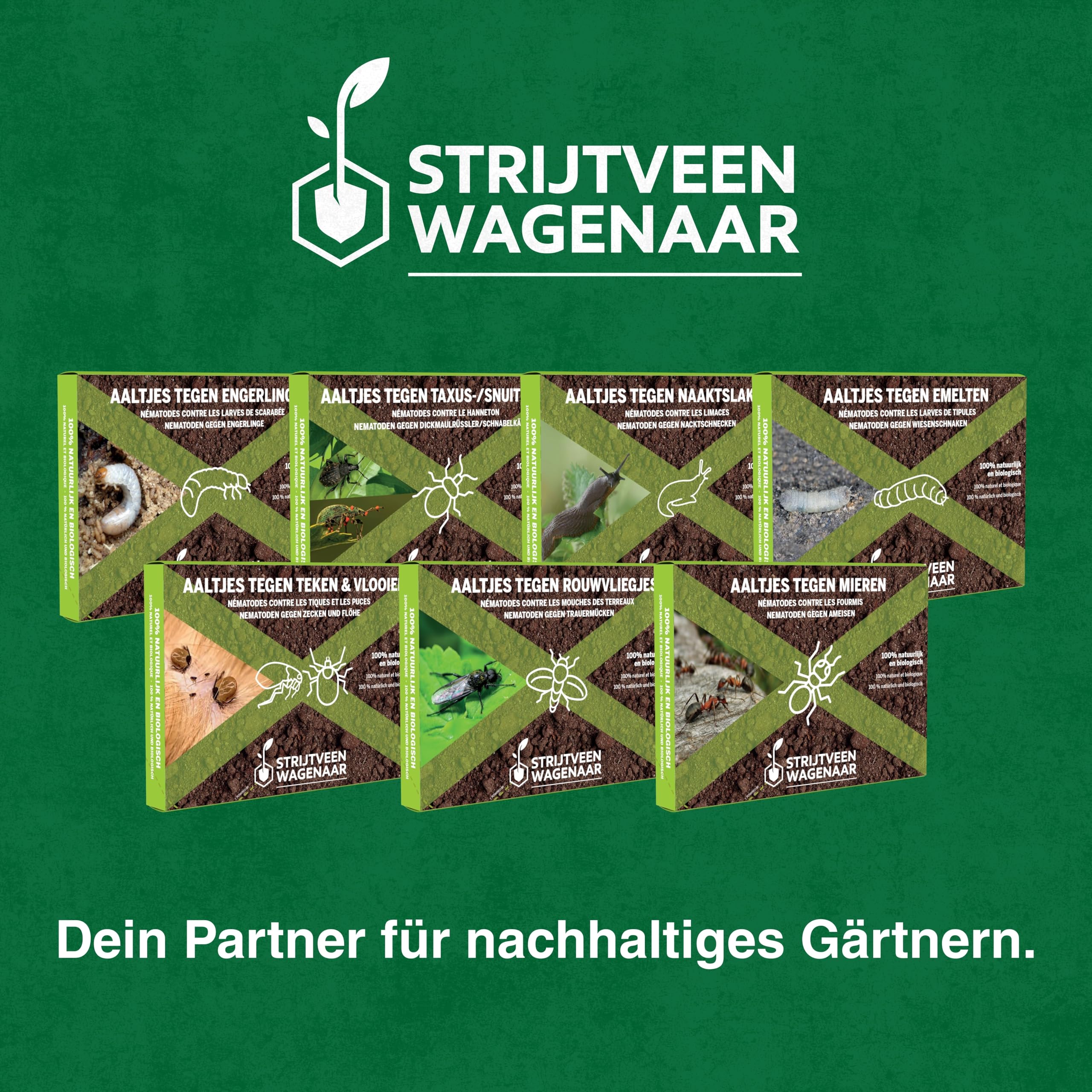 Strijtveen & Wagenaar – SC-Nematoden gegen Zecken & Flöhe – 50.0 Mio. für 100 m² – Biologisch & effektiv – Natürliche Bekämpfung von Parasiten im Boden rund um Haus & Garten