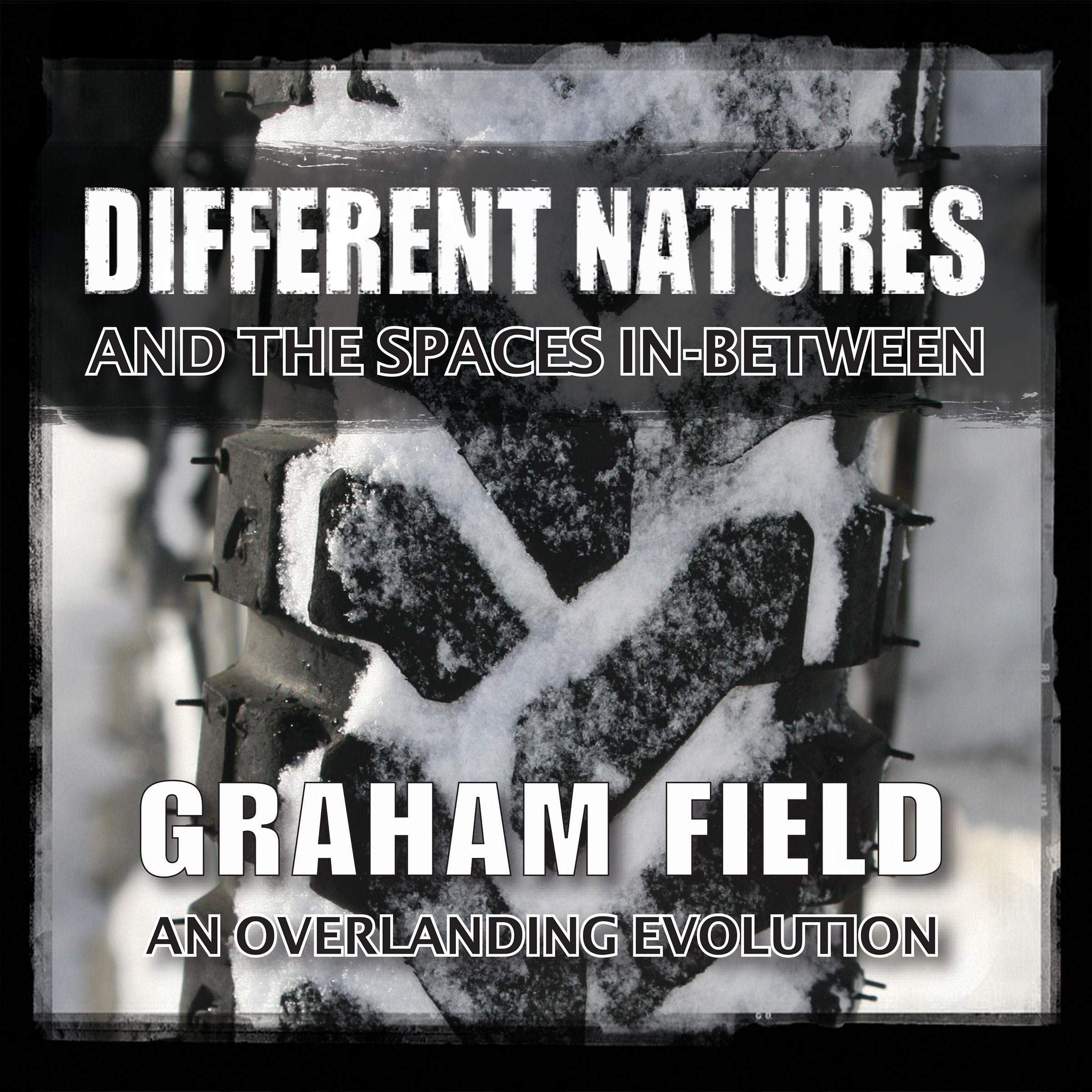 Cover art for Different Natures