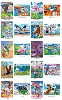Creative Haven Birds Color by Number Coloring Book (Adult Coloring Books: Animals)