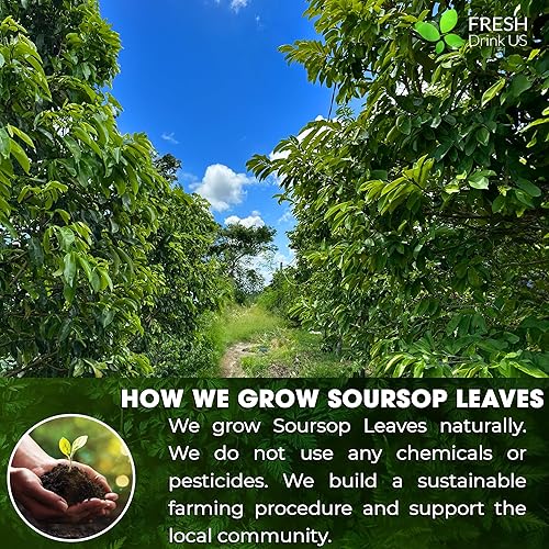 Miniatura 6 de FRESHDRINKUS Polvo de hoja de guanábana de 10 onzas, 100% natural y puro de hojas de graviola de guanábana, té de hoja de guanábana, sin aditivos,