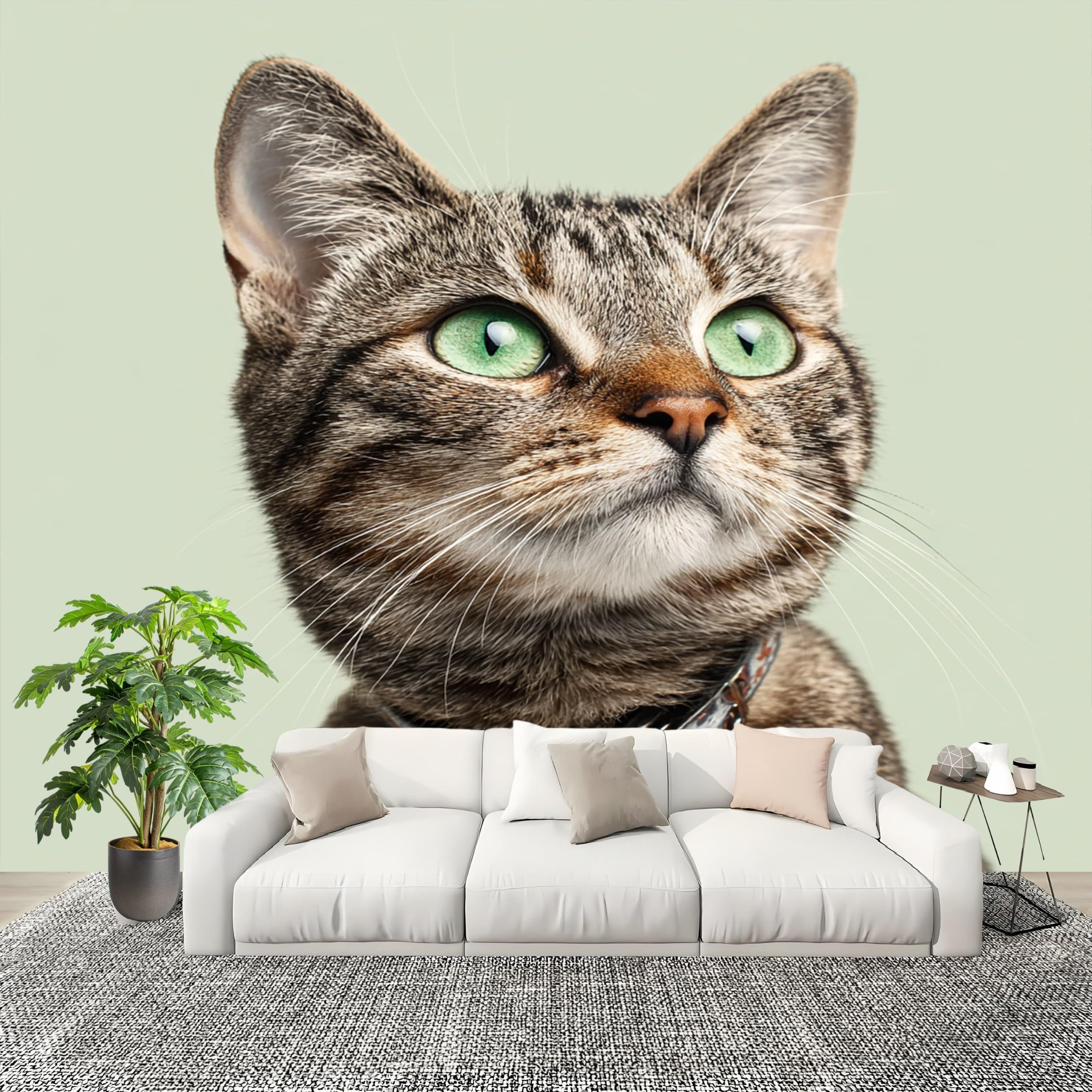 Papier peint chat mignon intissé 350x256 cm pour égayer une chambre d'enfant
