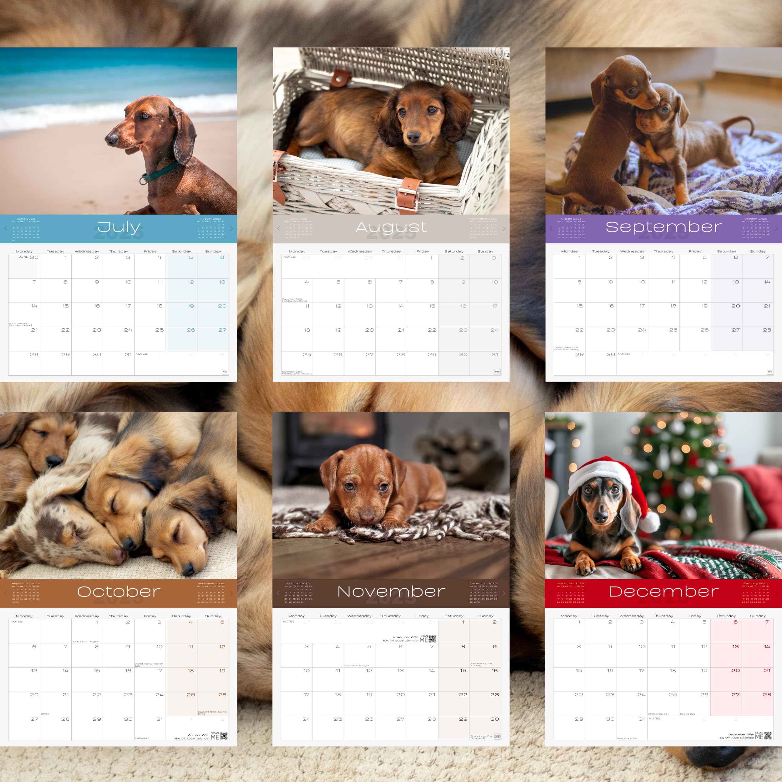 Dachshund Dogs Calendar 2026 - Sausage Dog & Puppy Wall Calendar UK - A4 to A3 with Space for Notes - Printed in the UK by Ruby Ashley® - Image 3