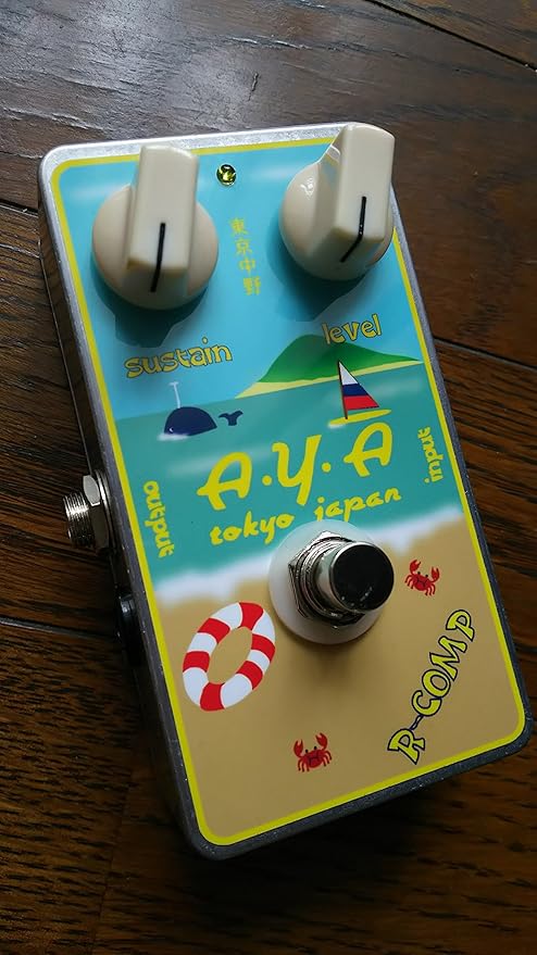 A.Y.A.TOKYO JAPAN R-comp ROSS系コンプ 使用感少ない美品！