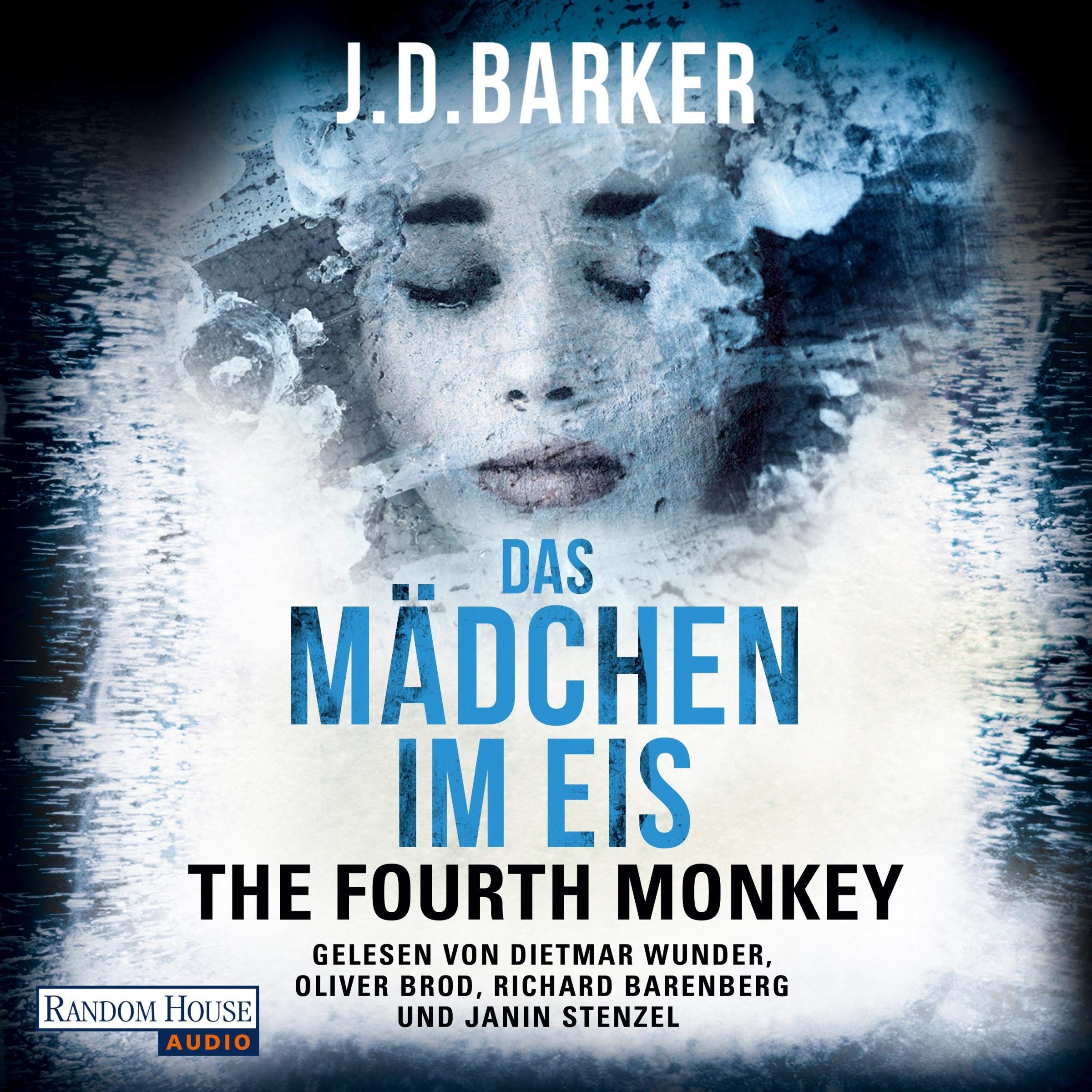 Cover art for The Fourth Monkey - Das Mädchen im Eis