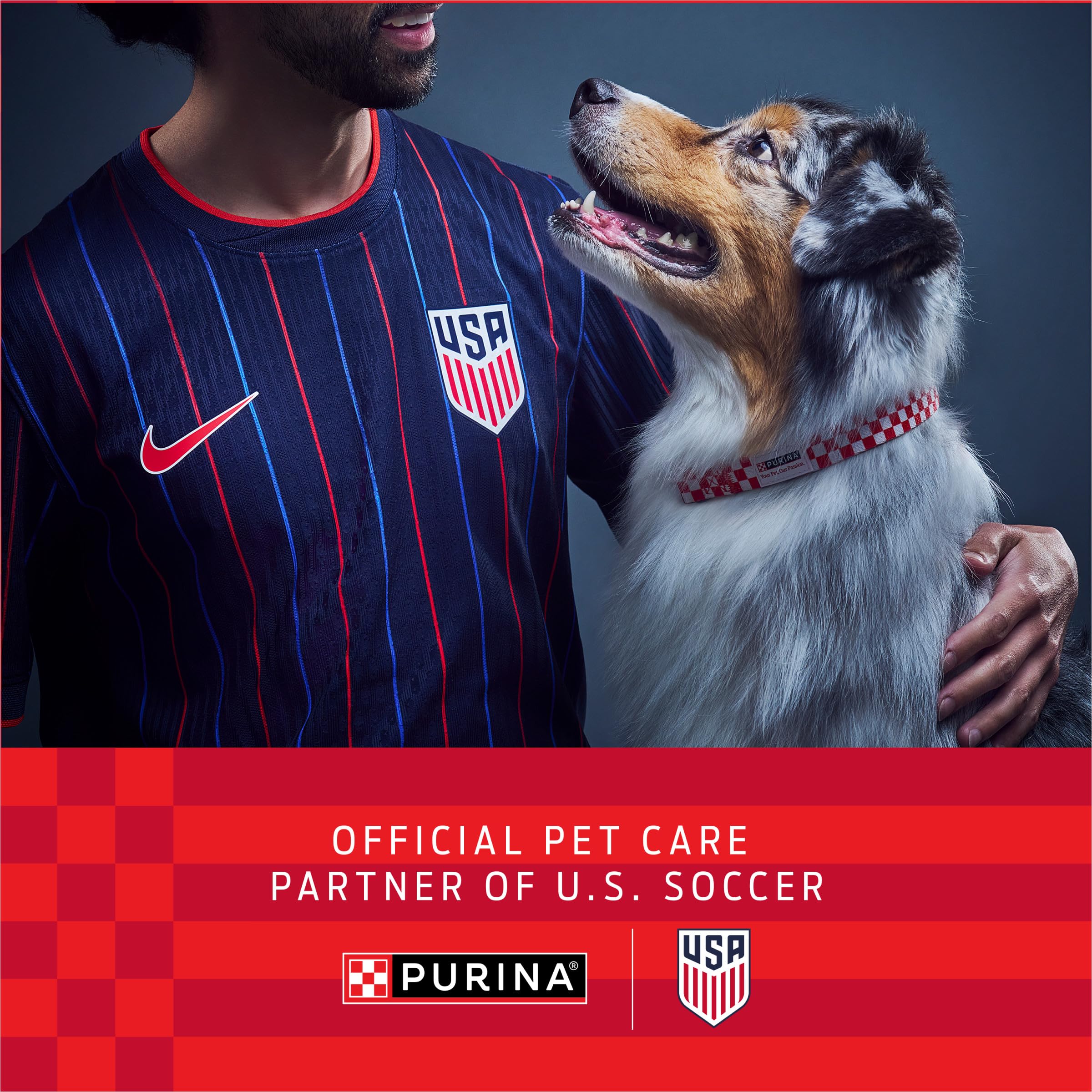 Purina ONE SmartBlend - Comida para Perros Secos