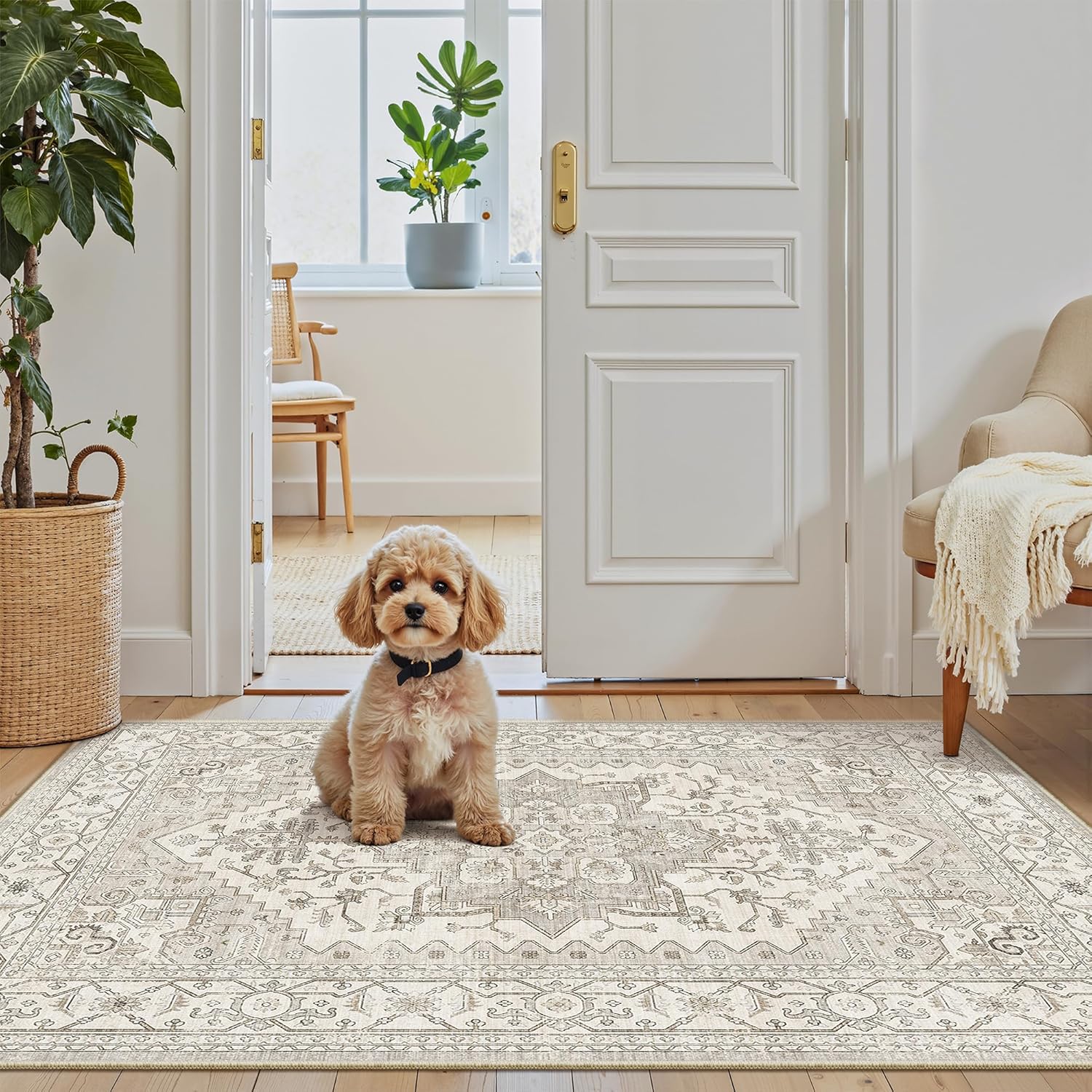 Prime Time Deals Brought To Your Area!