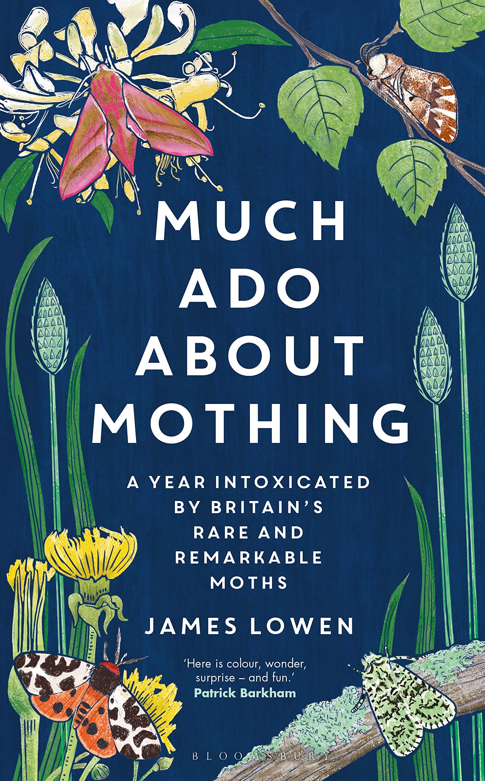 Much Ado About Mothing: A year intoxicated by Britain’s rare and remarkable moths