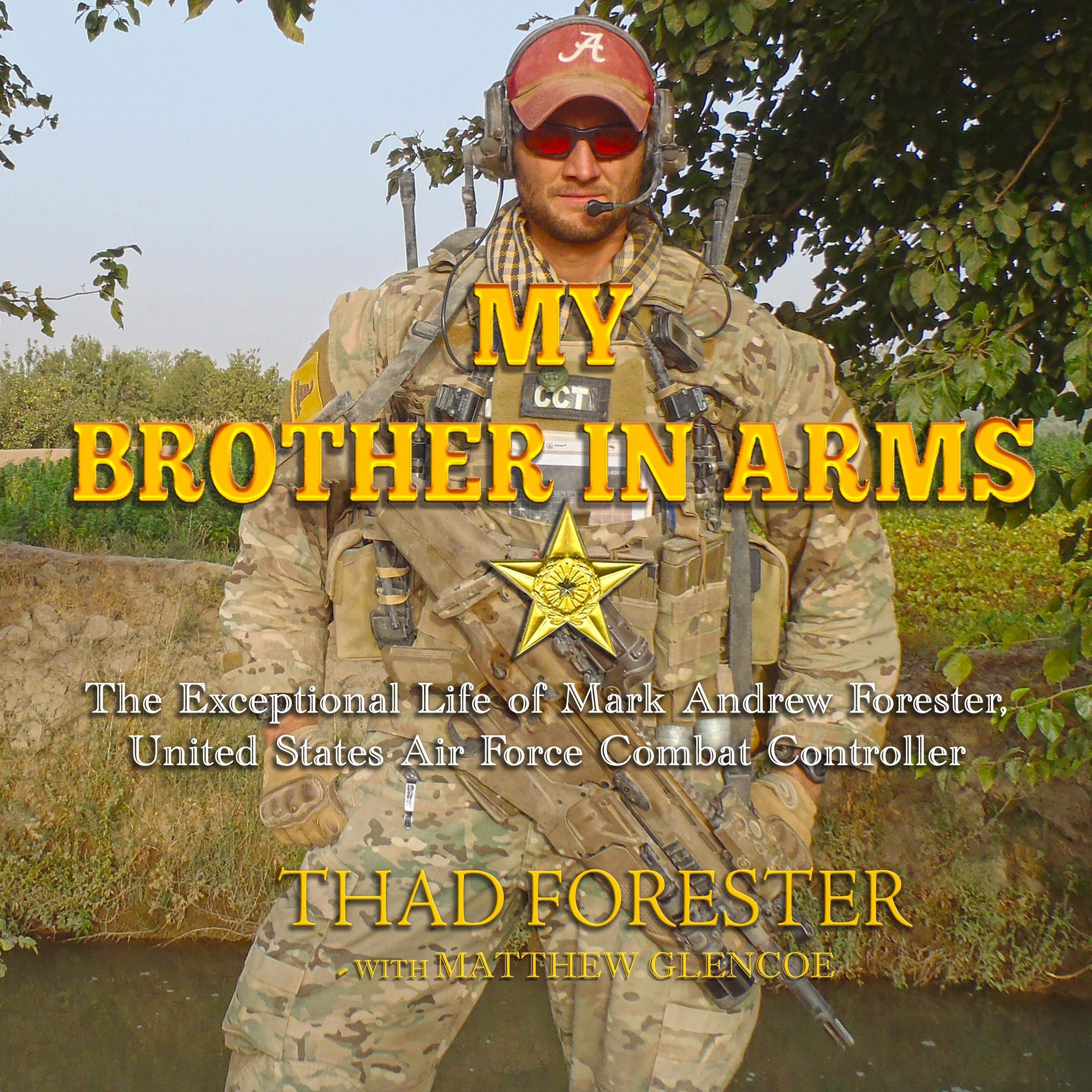 Cover art for My Brother in Arms
