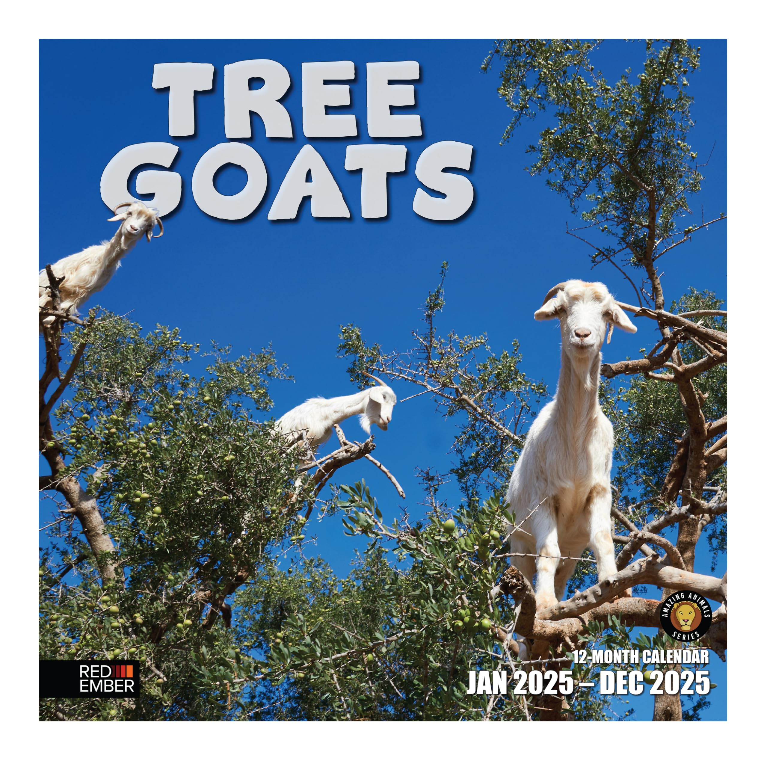 RED EMBER Tree Goats 2025 Wall Calendar 12 Month | 12" x 24" Open | Thick & Sturdy Paper | Giftable | Calendar 2025
