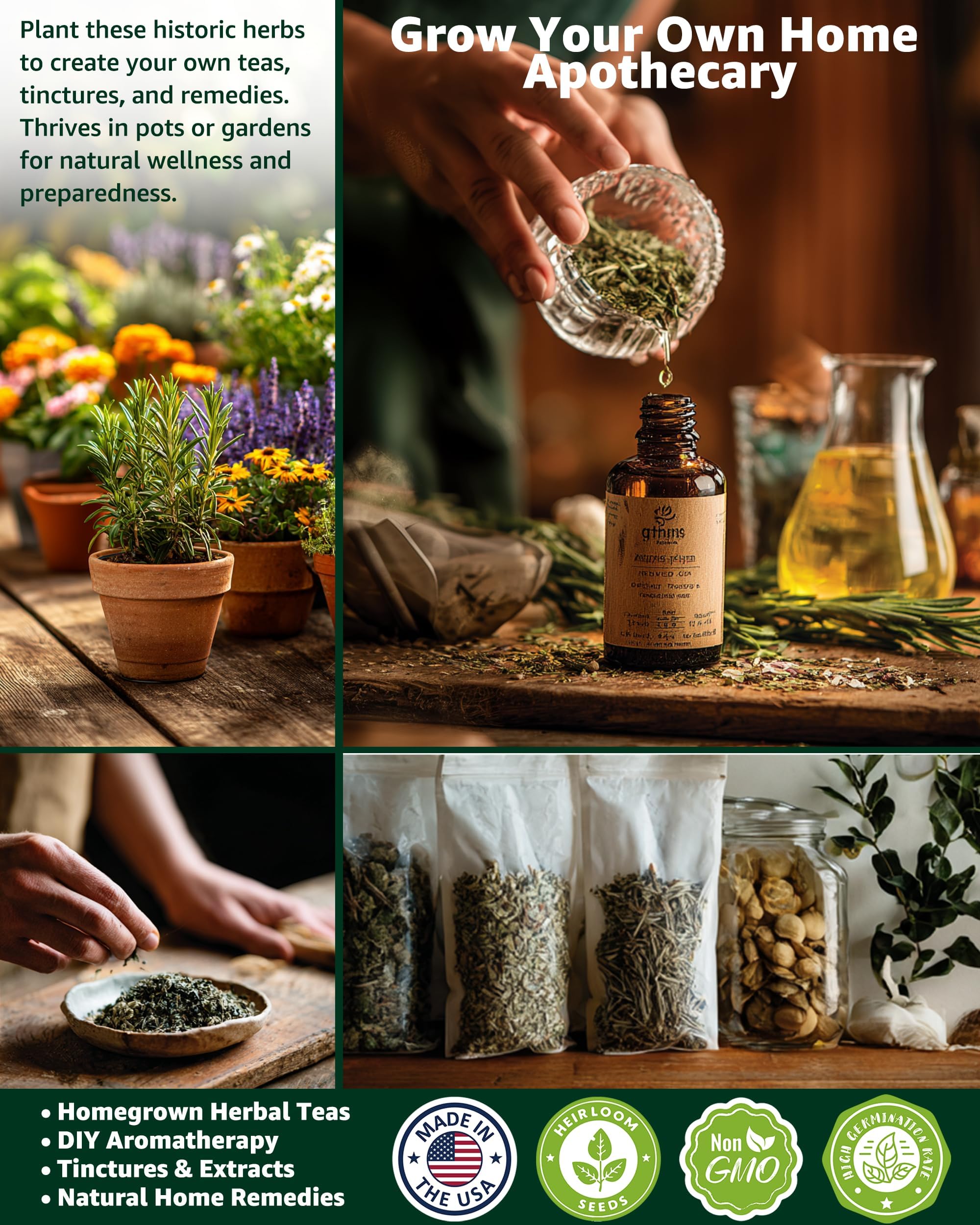 Amazon.com : Medicinal Herb Seeds Variety Pack - 36 Non-GMO Herbal