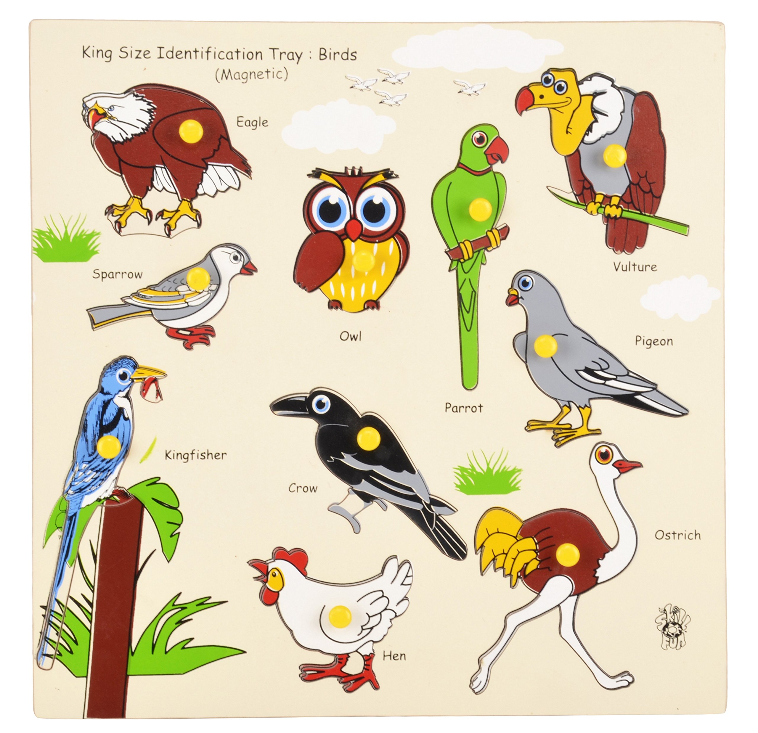 Skillofun Magnetic Kingsize ID - Birds, Multi Color (B011BUU14C) Amazon Price History, Amazon Price Tracker