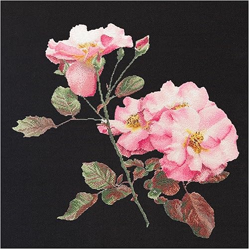 Thea Gouverneur - Kit de punto de cruz contado - Rosa Leersum - Aida Black - 18 unidades - para adultos - 412.05