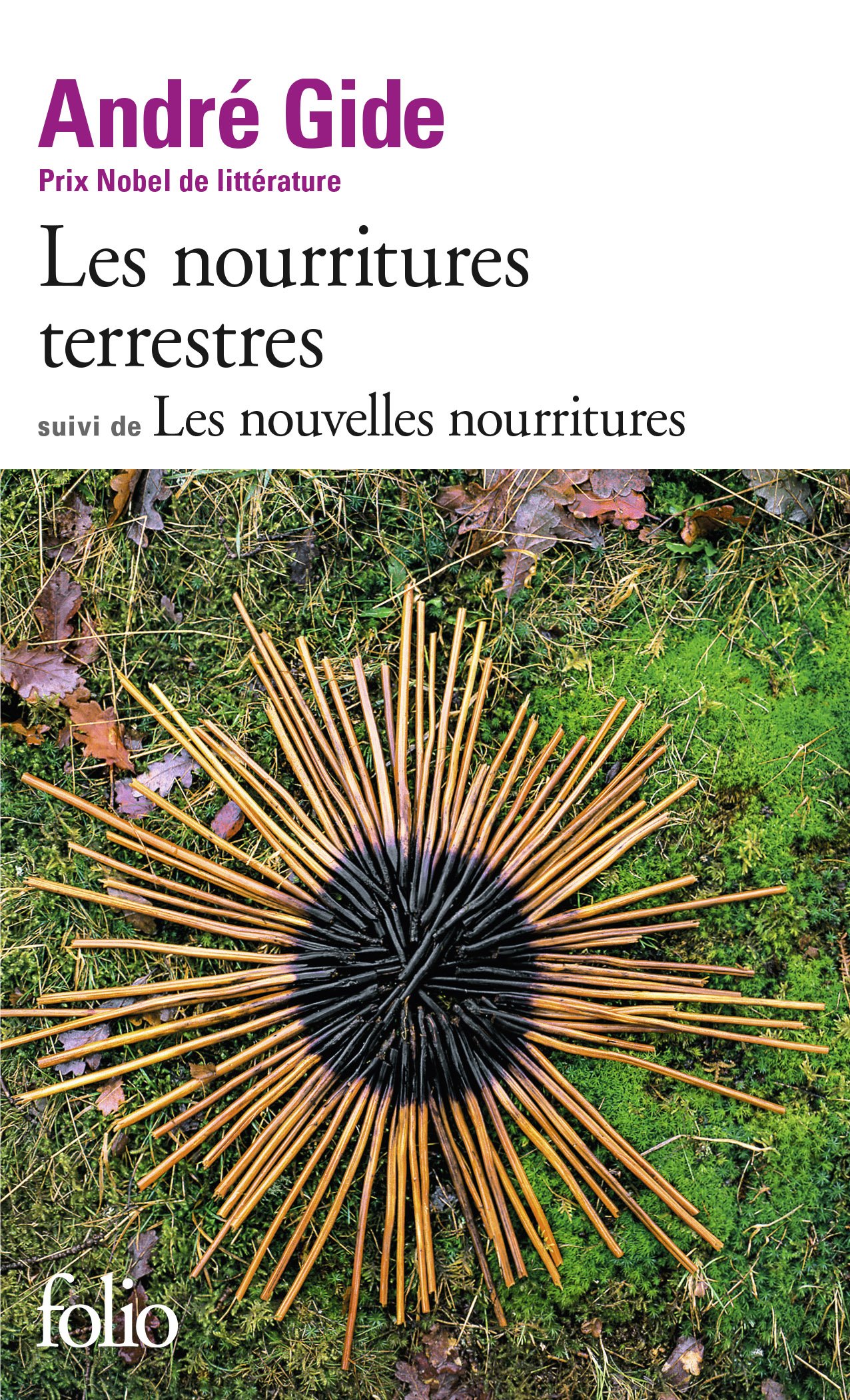 Les nourritures terrestres/Les nouvelles nourritures: Suivi de Les Nouvelles Nourritures: 117 (Collection Folio)