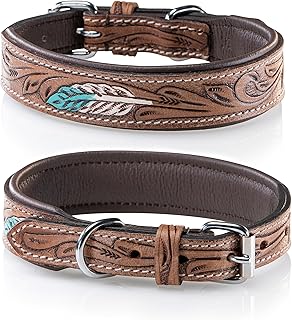 Jack & Russell Unique Leather Dog Collar, Hand Carved, Padded, Multicoloured - Buffalo Leather Dog Collar Chloe (XL/48-58) product image