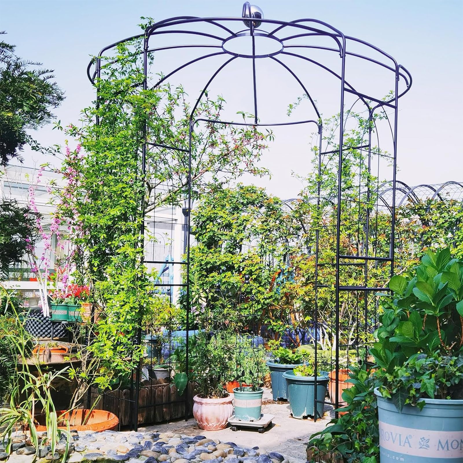 COSTWAY Traliccio ad Arco in Metallo Zincato per Piante Rampicanti, Gazebo a Forma di Gabbia per Uccelli con Gancio e Paletti, Pergola da Giardino per Cerimonie, 198 x 284 cm, Nero