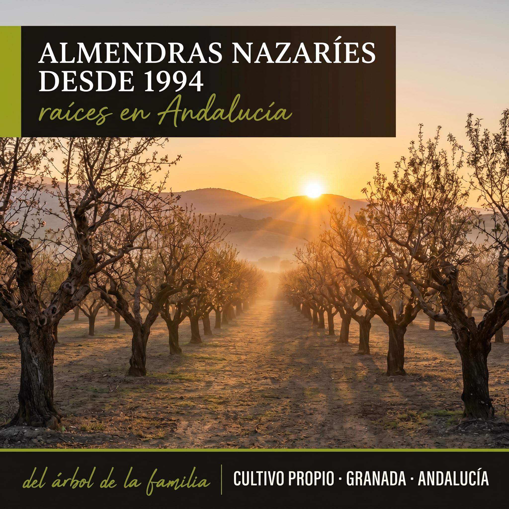 ALMENDRAS NAZARIES Almendras Tostadas sin Sal con Piel Naturales 6 x 150 g Españolas variedad Belona 900 g Cultivo Propio en Andalucia 100% Almendra Fruto Seco Sin Gluten Snack Saludable Para Picar