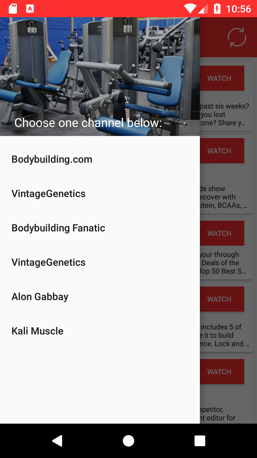 Body Surge V2 ����������: ����.