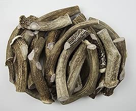 Antler Man Premium Jumbo Deer Antler Pieces - Dog Chews - Sold by The Pound - coolthings.us