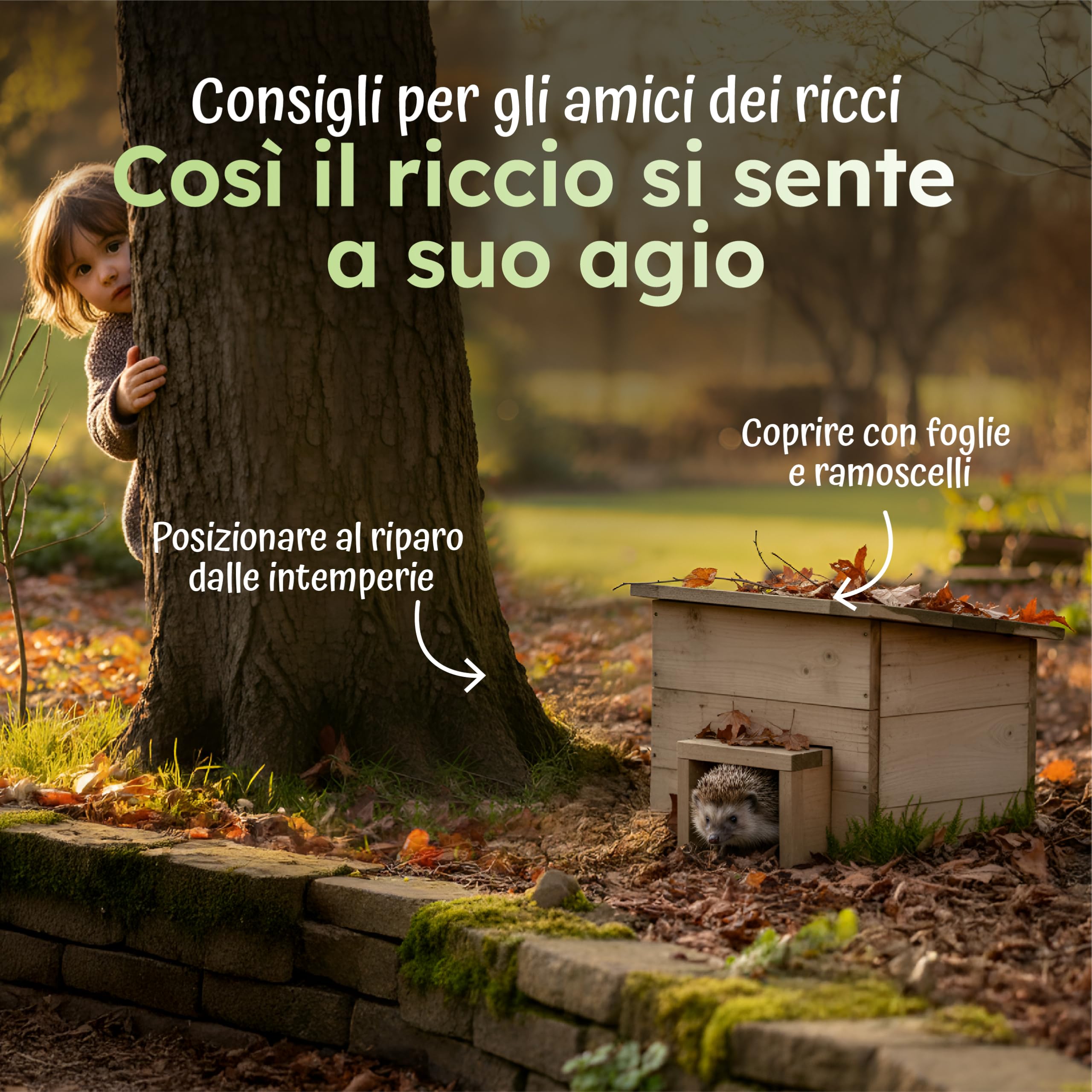 Moorland Casetta per ricci rifugio compatto in legno FSC® naturale base