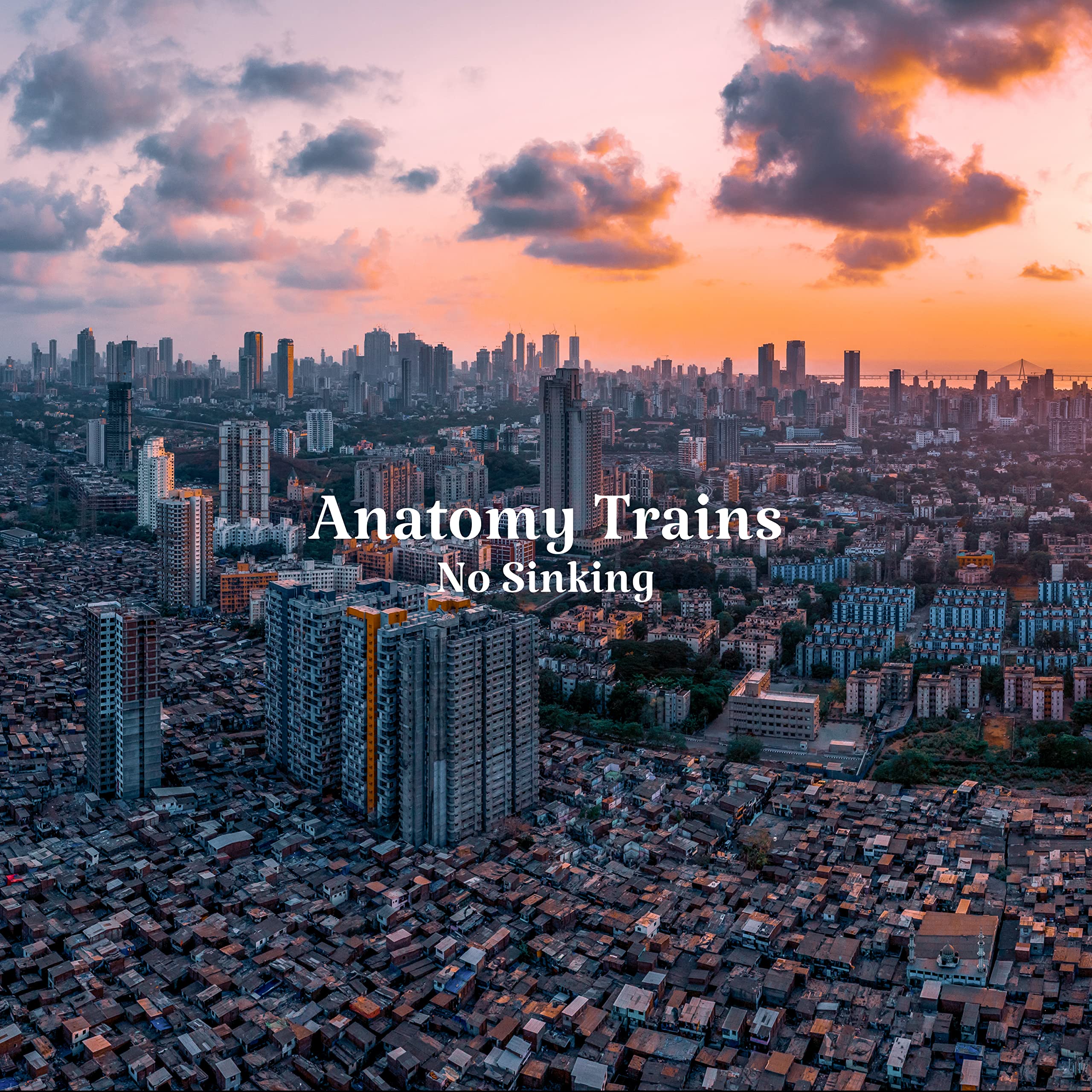 Anatomy Trains