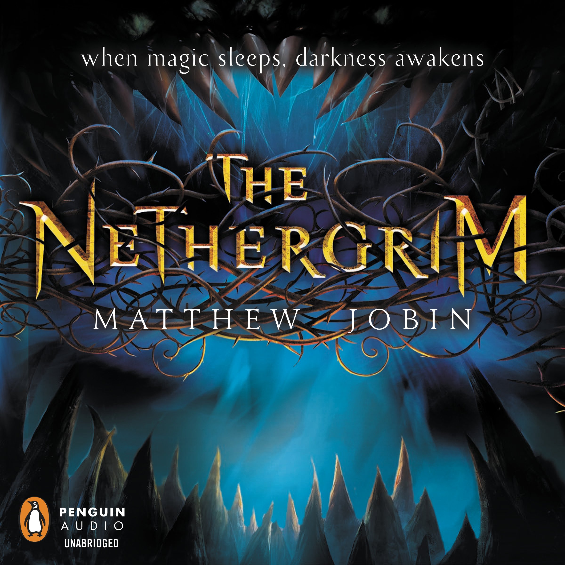 Cover art for The Nethergrim