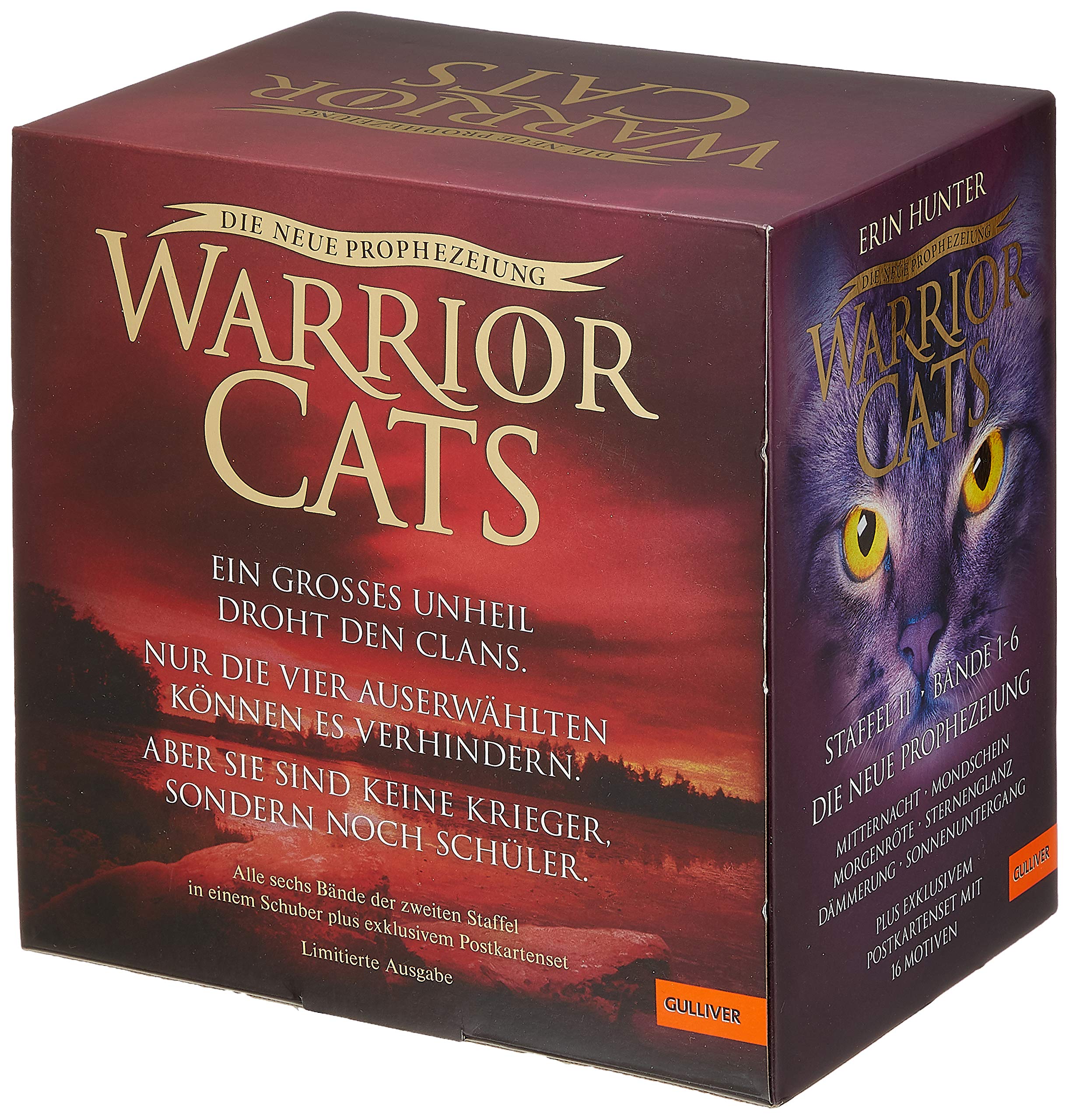 Warrior Cats. Die neue Prophezeiung. Bände 1-6: Staffel II, Band 1-6