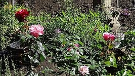 Review Image by Kindle Customer Kindle Customer