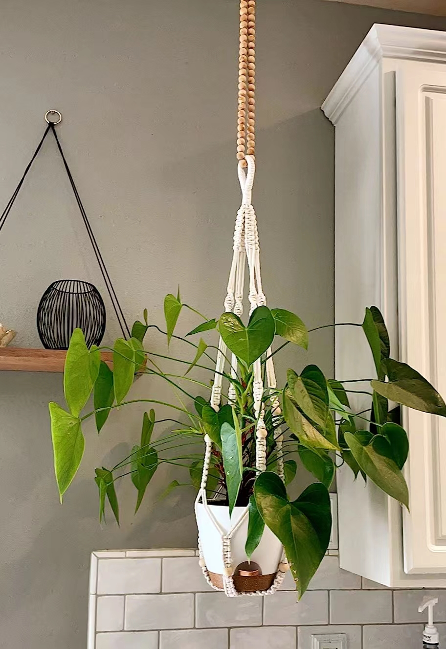 3 Pack Self Watering Hanging Planters in Different Size on Amazon Live