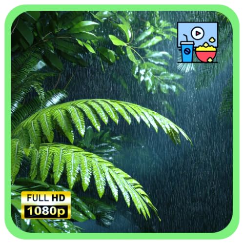 rainforest rain therapy - deep sleep sounds & focus white noise