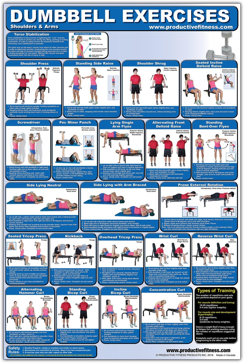 Laminated Dumbbell Exercise Poster/Chart - Shoulders and Arms - Created by Fitness Experts with University Degrees in Exercise Physiology etc. - ... - Fitness Poster - Dumbbell Workout Chart