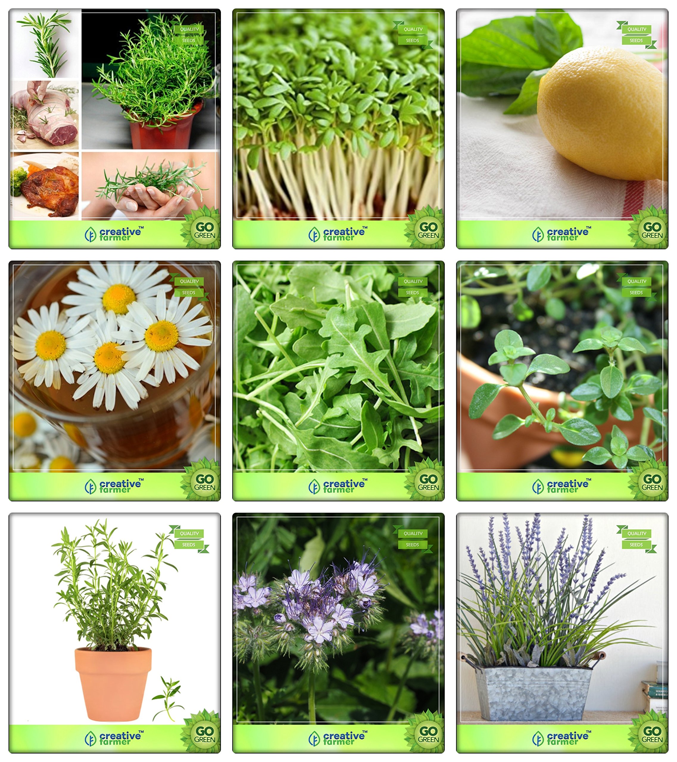 See full amazon price history chart for Creative Farmer Herb Plants Seeds For Home Garden Rosemary, Cress Common, Lemon Basil, German Chamomille, Wild Rocket, Thyme English Winter, Terragon, Penny Royal, Lavender Herb Seeds Combo Pack Creative Farmer Herb Plants Seeds For Home Garden Rosemary, Cress Common, Lemon Basil, German Chamomille, Wild Rocket, Thyme English Winter, Terragon, Penny Royal, Lavender Herb Seeds Combo Pack (B078V3Q246) Amazon Price History, Amazon Price Tracker