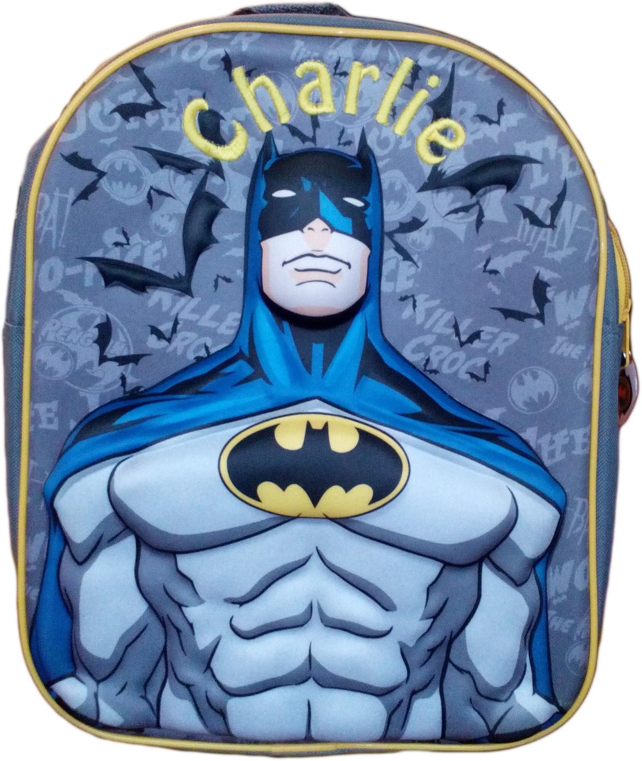 Bag. DC Comics Backpack / Rucksack 