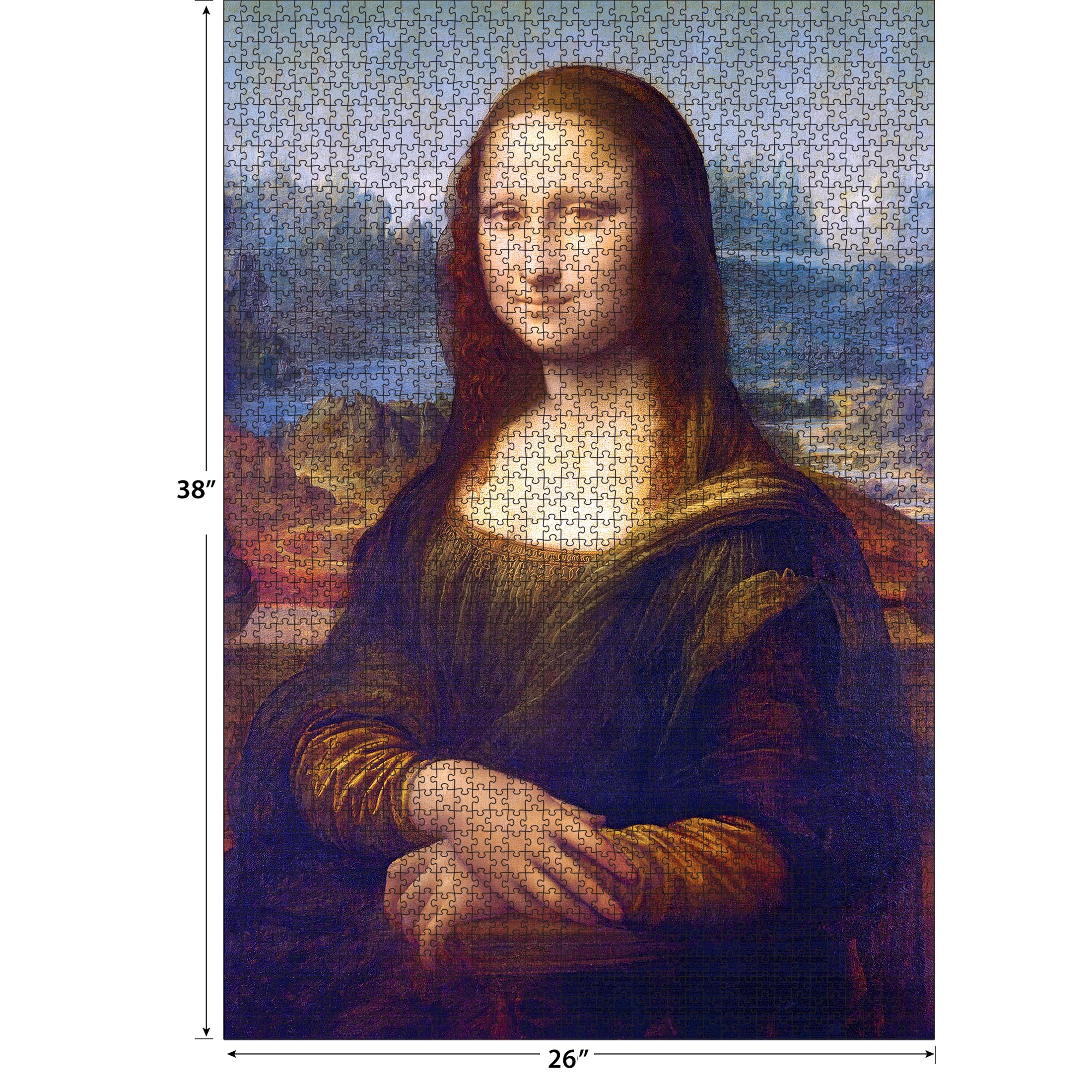 Amazon.com: RoseArt Kodak Premium Masters Mona Lisa 2000 Piece