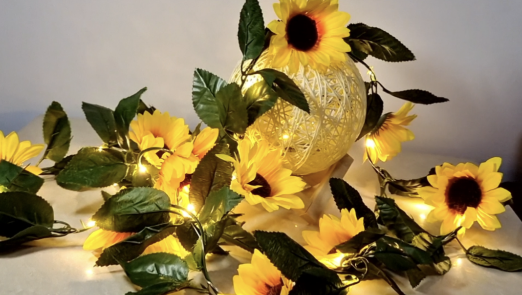 Hidyliu 2 Mètres Intérieur Et Extérieur Décoration Lumière